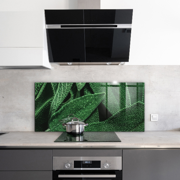 Stänkskydd kök Gröna blad efter regn