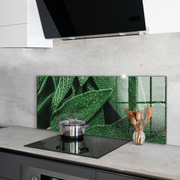 Stänkskydd kök Gröna blad efter regn