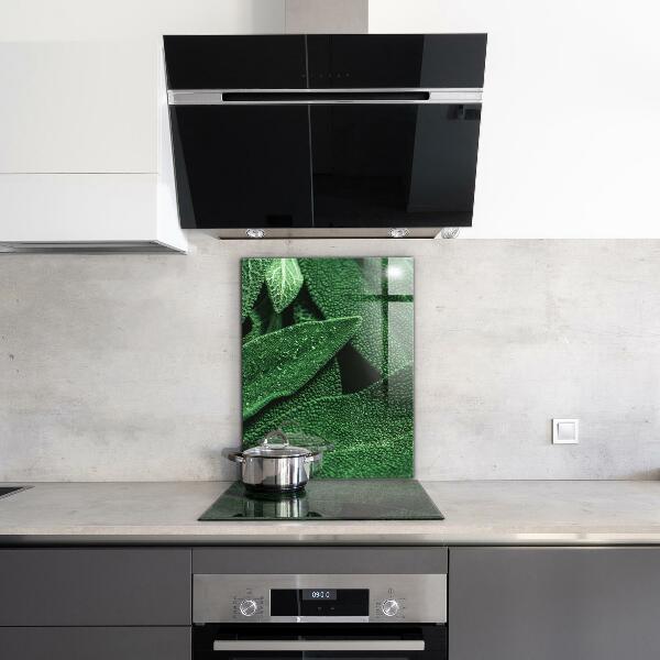 Stänkskydd kök Gröna blad efter regn