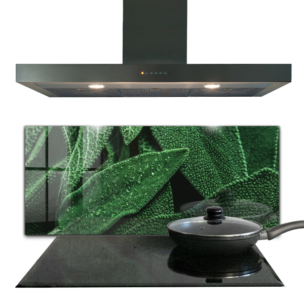 Stänkskydd kök Gröna blad efter regn