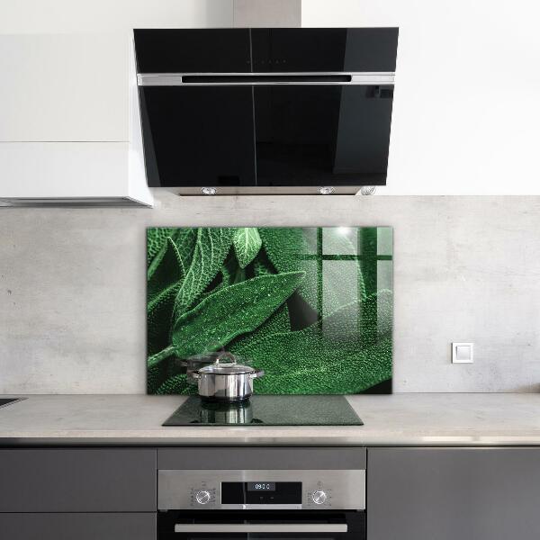 Stänkskydd kök Gröna blad efter regn