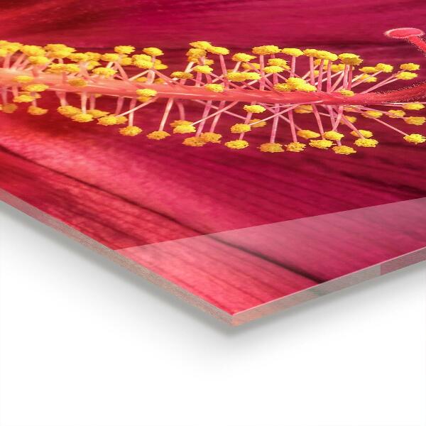 Stänkskydd kök Rosa Hibiscus