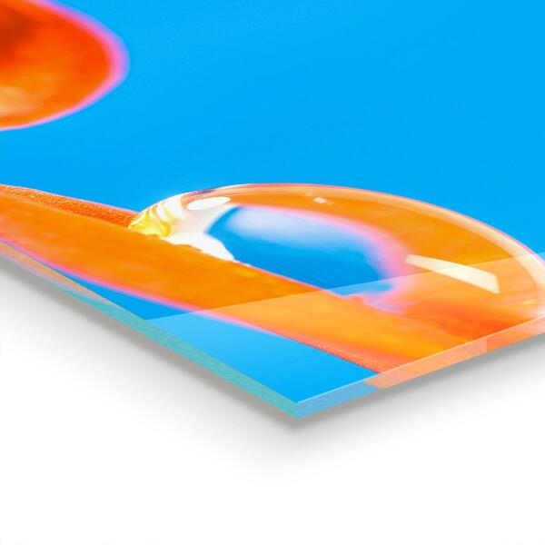 Stänkskydd kök Orange blomma