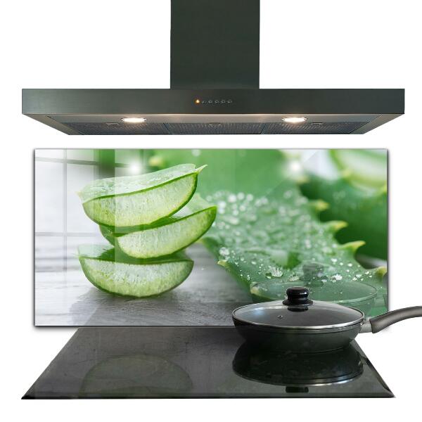 Stänkskydd kök Aloe Aloe Vera växt