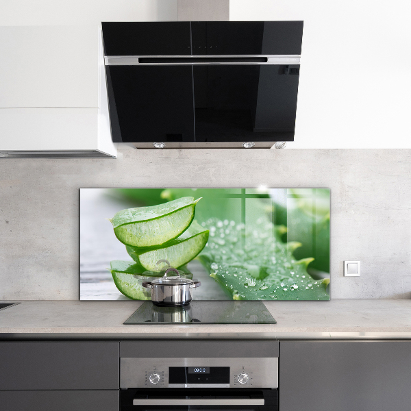 Stänkskydd kök Aloe Aloe Vera växt