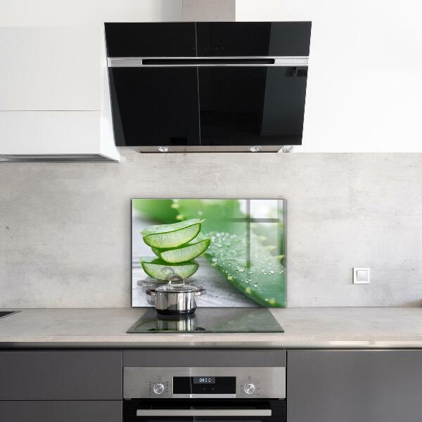 Stänkskydd kök Aloe Aloe Vera växt