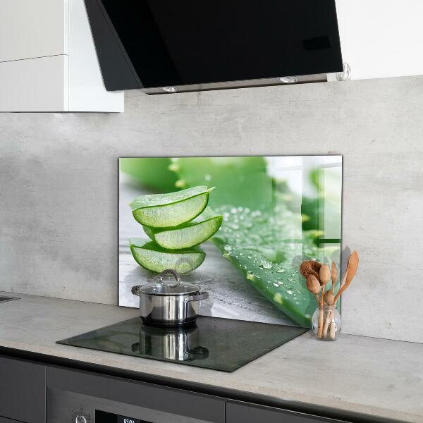 Stänkskydd kök Aloe Aloe Vera växt