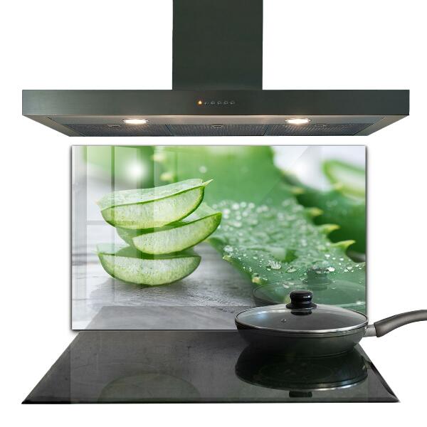 Stänkskydd kök Aloe Aloe Vera växt