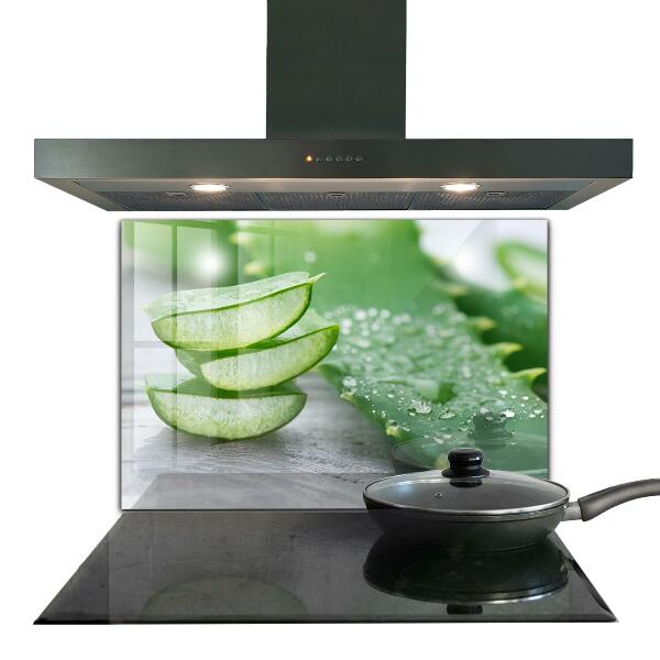 Stänkskydd kök Aloe Aloe Vera växt