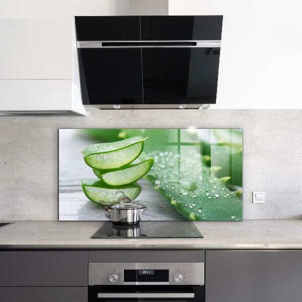 Stänkskydd kök Aloe Aloe Vera växt