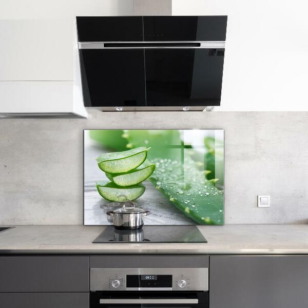 Stänkskydd kök Aloe Aloe Vera växt