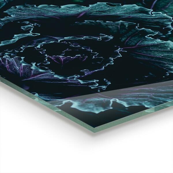 Stänkskydd kök Kålblad Mörkgröna