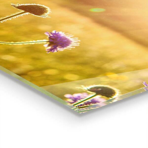 Stänkskydd kök Sommar blommande äng