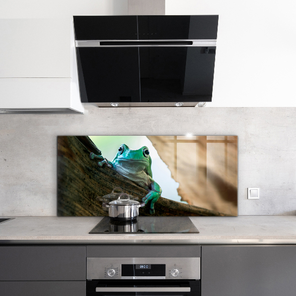 Stänkskydd kök Nyfiken Groda På Ett Löv