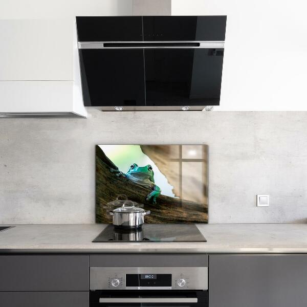 Stänkskydd kök Nyfiken Groda På Ett Löv