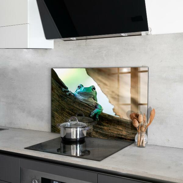 Stänkskydd kök Nyfiken Groda På Ett Löv