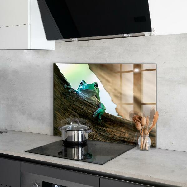 Stänkskydd kök Nyfiken Groda På Ett Löv