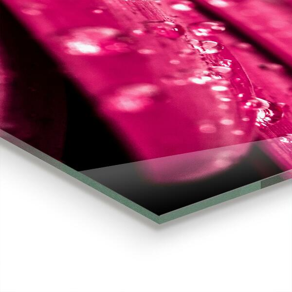 Stänkskydd kök Rosa växtblomma