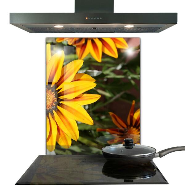 Stänkskydd kök Gul blomma på ängen