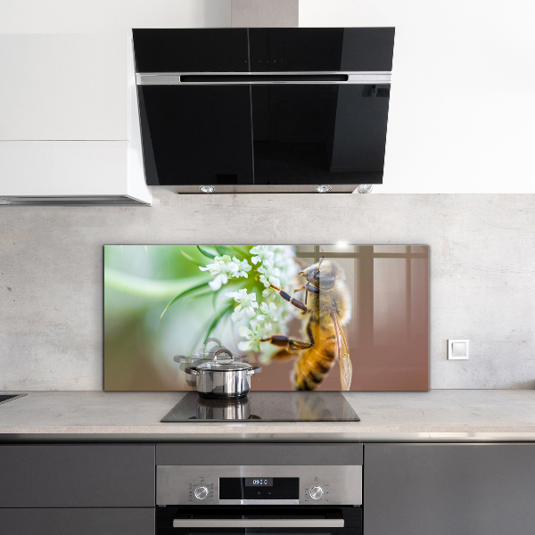 Stänkskydd kök Bi samlar pollen