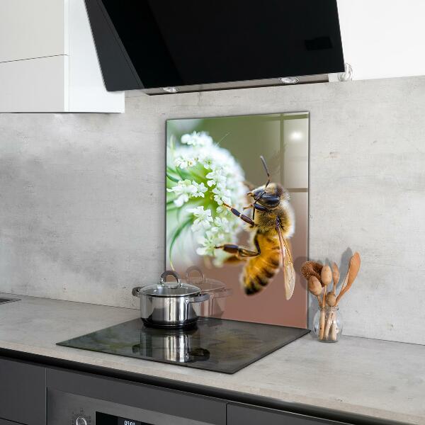 Stänkskydd kök Bi samlar pollen