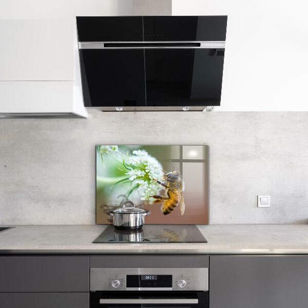 Stänkskydd kök Bi samlar pollen