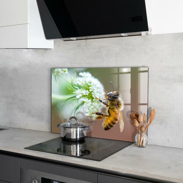 Stänkskydd kök Bi samlar pollen