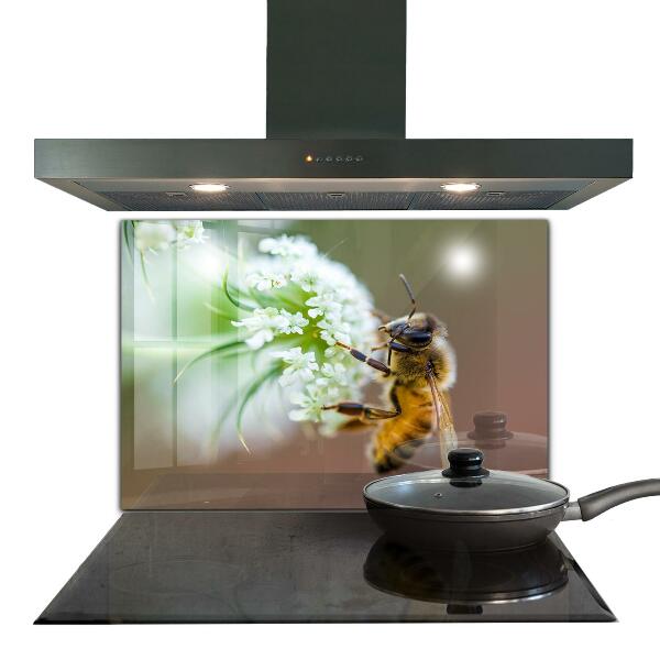 Stänkskydd kök Bi samlar pollen