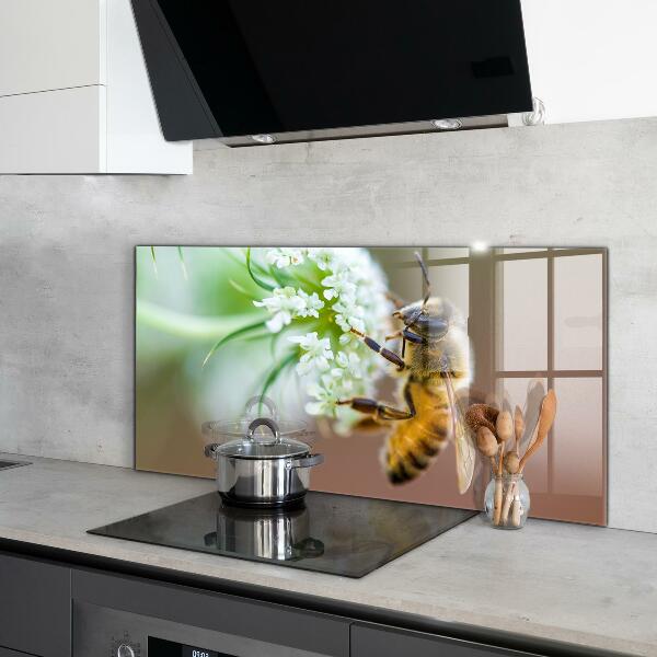 Stänkskydd kök Bi samlar pollen