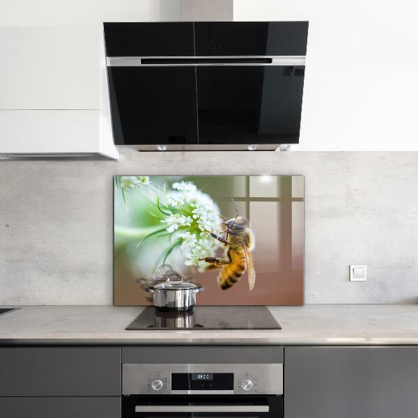 Stänkskydd kök Bi samlar pollen