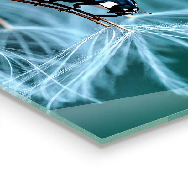 Stänkskydd kök Nyckelpiga Röd skalbagge