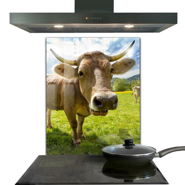 Stänkskydd kök Landsbygdens klimat Krowa Pole