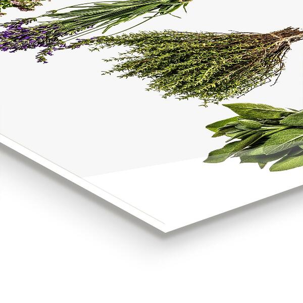 Stänkskydd kök Torkade örter Naturens kraft