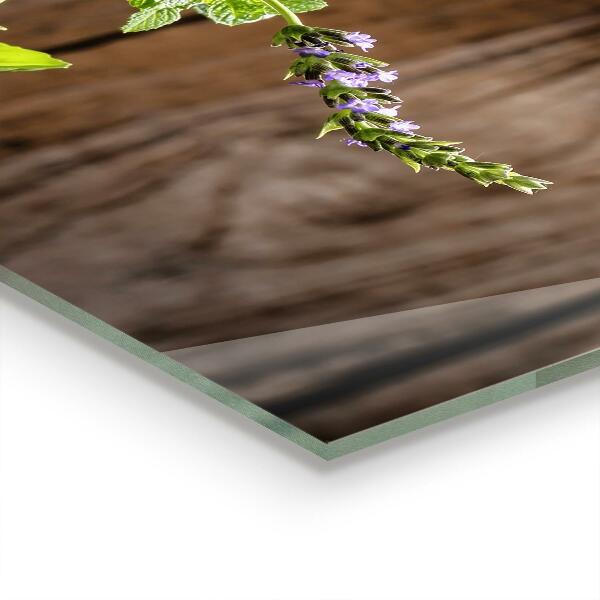 Stänkskydd kök Stenmortelkryddor