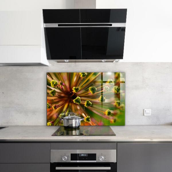 Stänkskydd kök Blomma makro foto