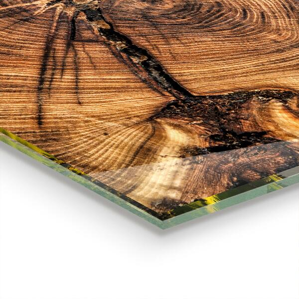 Stänkskydd kök Trunk textur