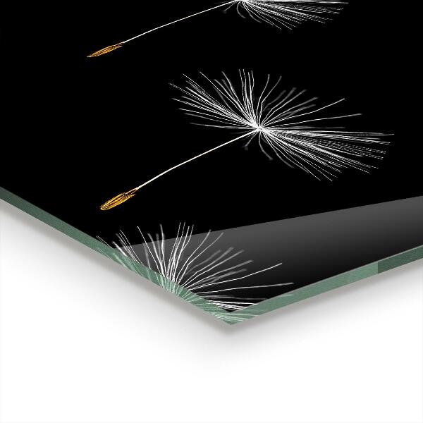 Stänkskydd kök Maskrosor i vinden