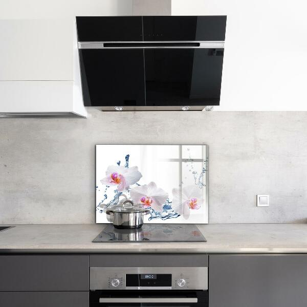 Stänkskydd kök Orkidé beströdd med vatten