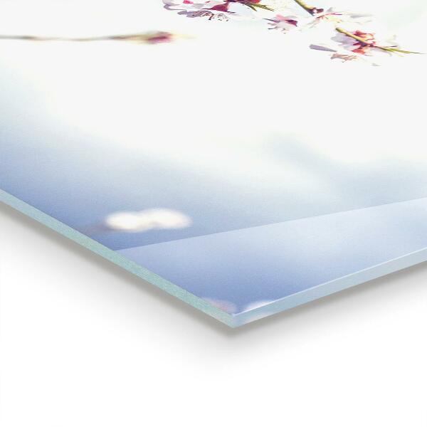 Stänkskydd kök Delikat rosa blommor