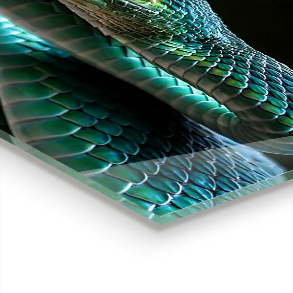 Stänkskydd kök Snake Wildlife