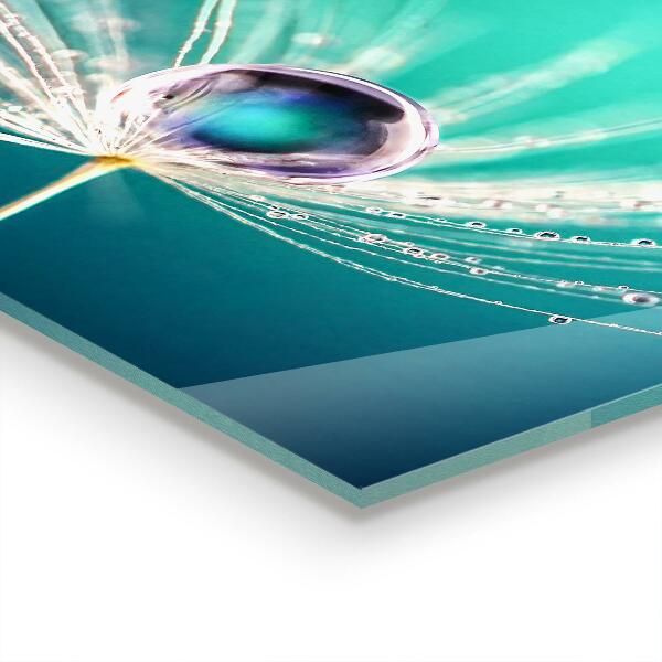 Stänkskydd kök Maskros med daggdroppe