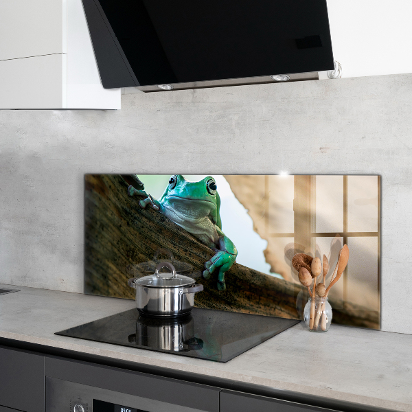 Stänkskydd kök Porträtt av afrikansk groda