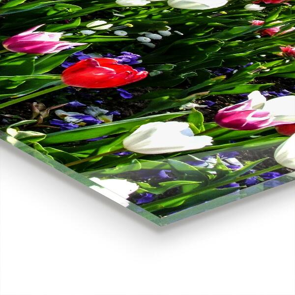 Stänkskydd kök Ängsommarblommor