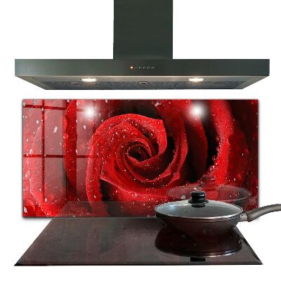 Stänkskydd kök Daggdroppar på en röd ros