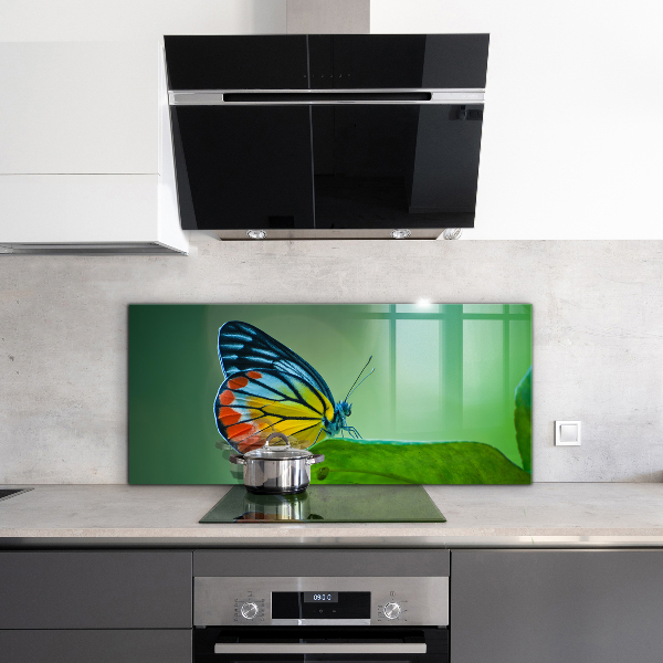 Stänkskydd kök Fjäril som vilar på ett löv