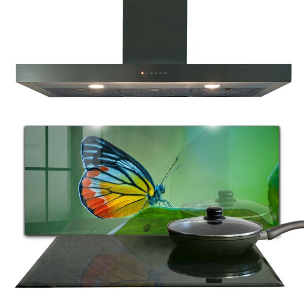 Stänkskydd kök Fjäril som vilar på ett löv