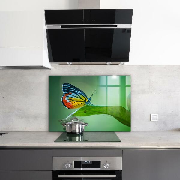 Stänkskydd kök Fjäril som vilar på ett löv