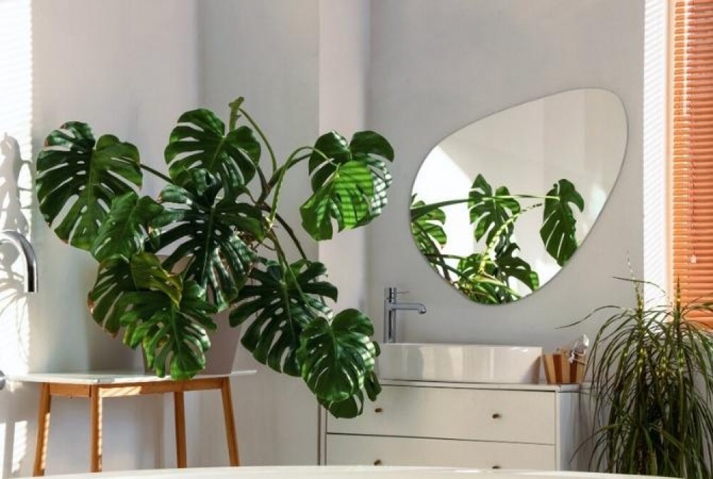 spegel för ett vitt badrum